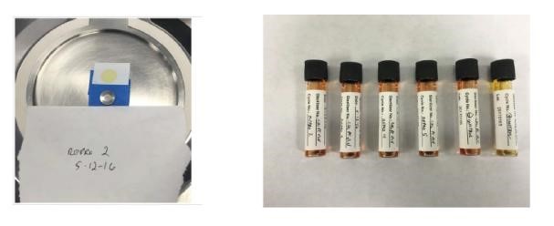 Ritedose Microbial Growth